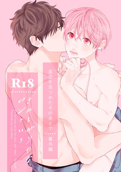 【R18版】星空を見つめたそのあとで番外編 さみしがりやなピンクいろ