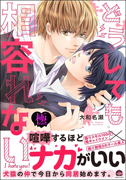 どうしても相容れない【極】  【電子限定かきおろし漫画付】