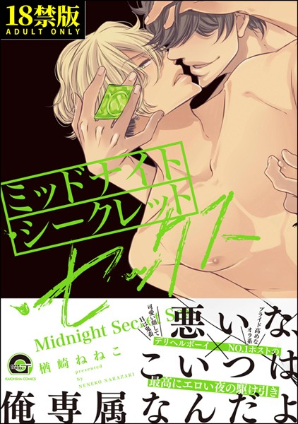 ミッドナイト・シークレット・セックス【極】 【電子限定かきおろし漫画付】