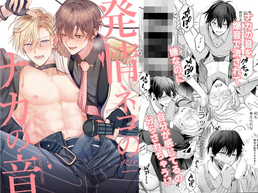 発情ネコのナカの音