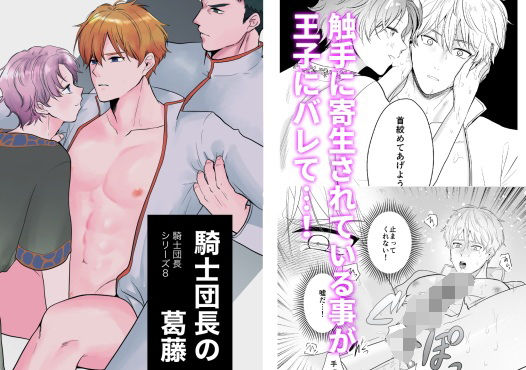 騎士団長の葛藤