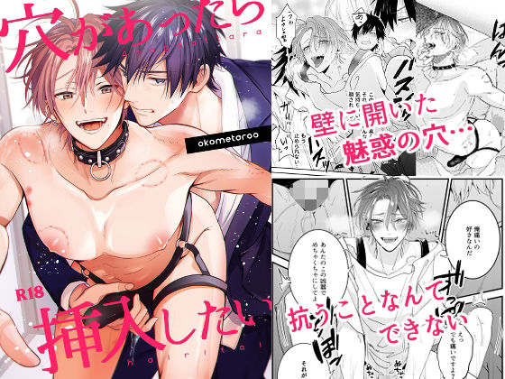 穴があったら挿入したい