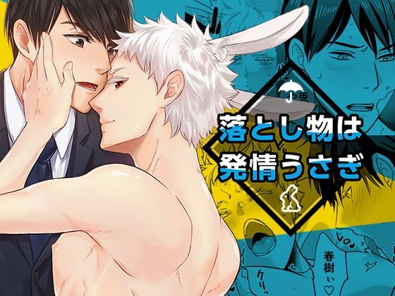 落し物は発情うさぎ