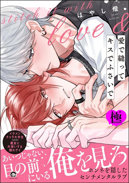 愛で縫ってキスでふさいで【極】 【電子限定かきおろし漫画2P付】